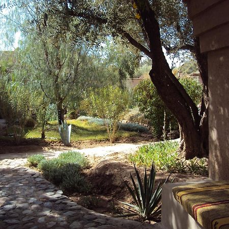 Dar Lorkam Bed & Breakfast Skoura Bagian luar foto