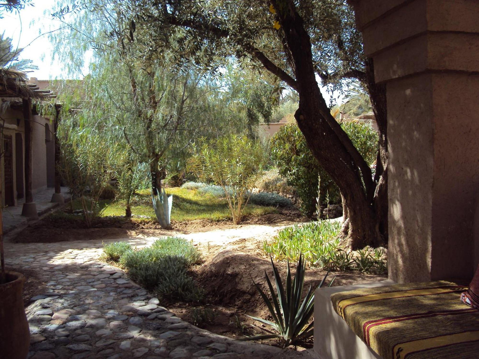Dar Lorkam Bed & Breakfast Skoura Bagian luar foto