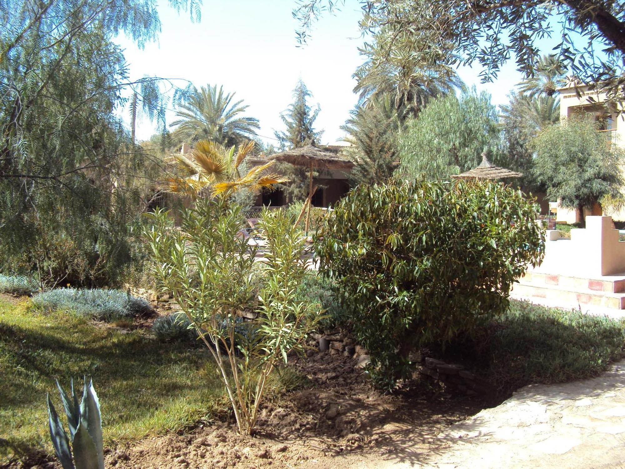 Dar Lorkam Bed & Breakfast Skoura Bagian luar foto