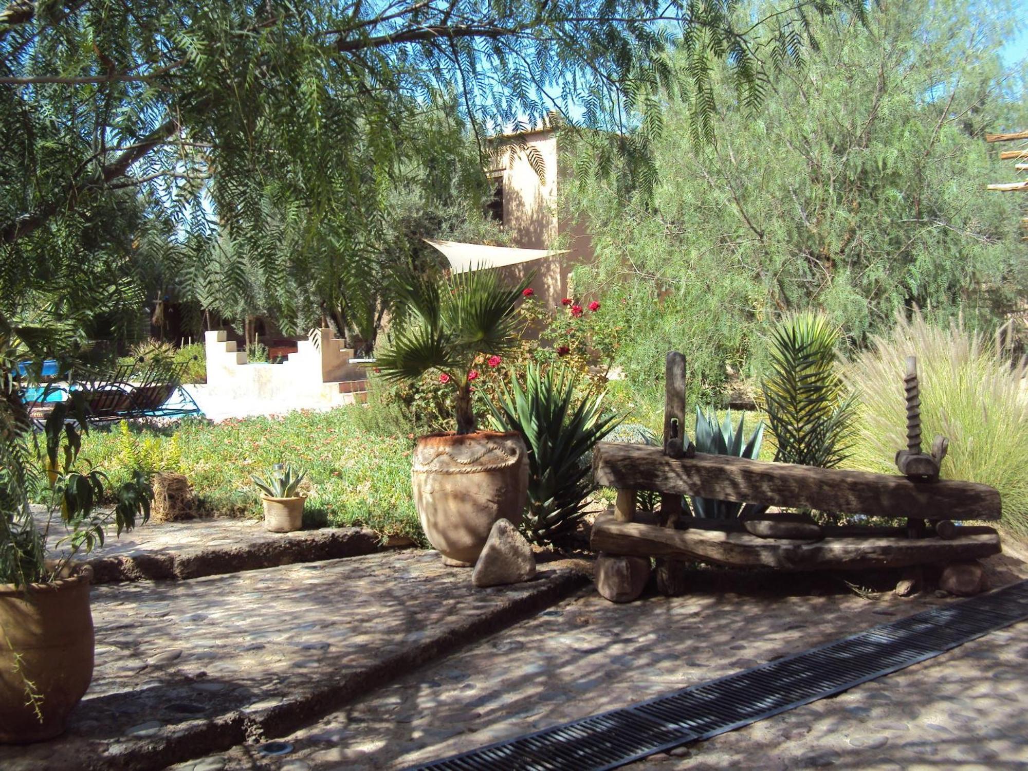 Dar Lorkam Bed & Breakfast Skoura Bagian luar foto