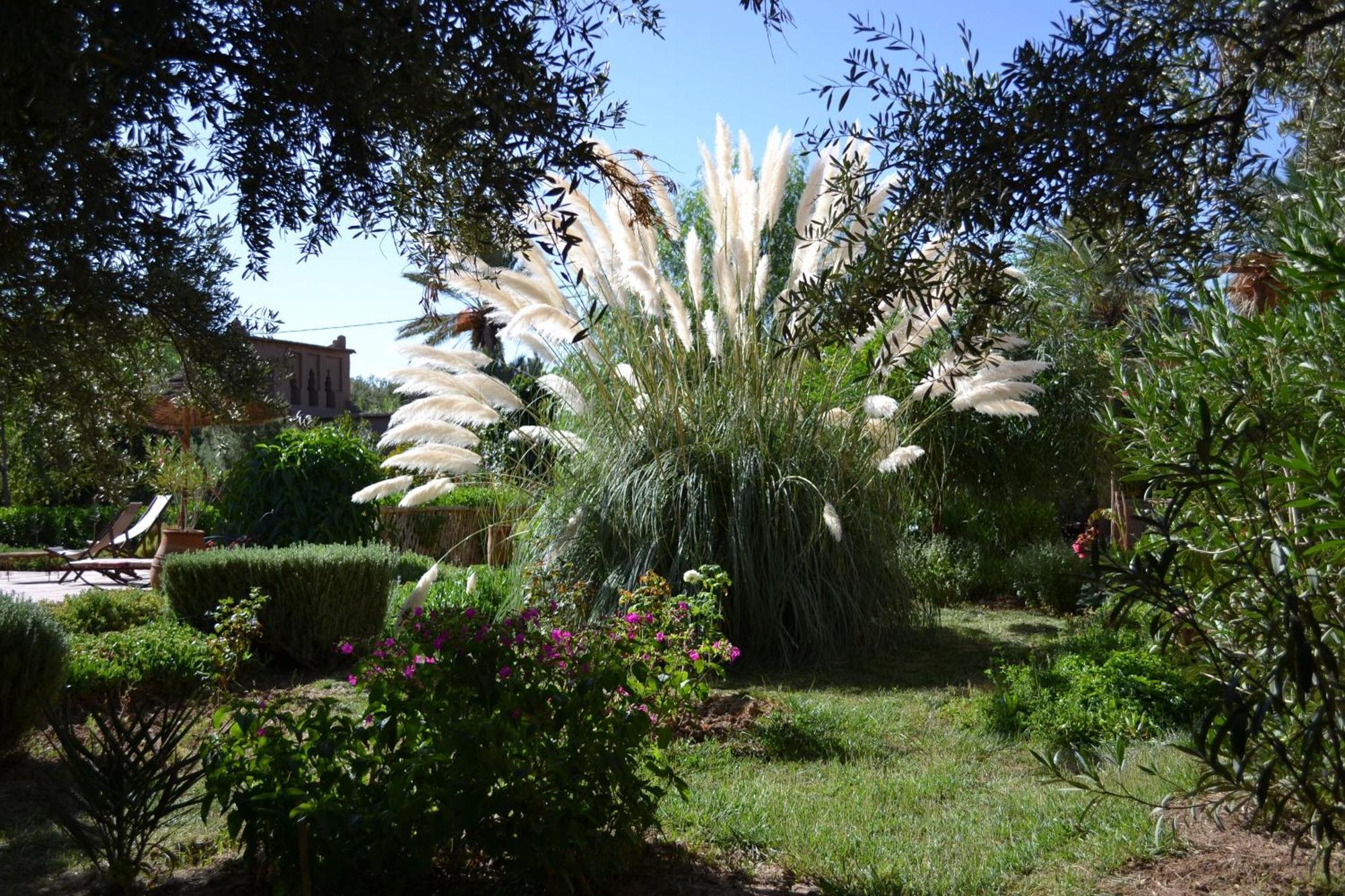 Dar Lorkam Bed & Breakfast Skoura Bagian luar foto