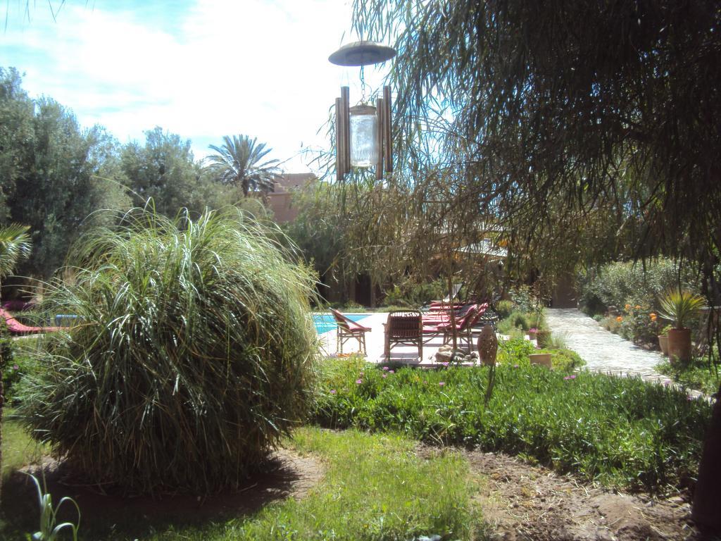 Dar Lorkam Bed & Breakfast Skoura Bagian luar foto