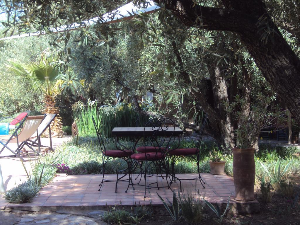 Dar Lorkam Bed & Breakfast Skoura Bagian luar foto