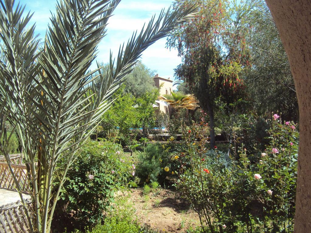 Dar Lorkam Bed & Breakfast Skoura Bagian luar foto