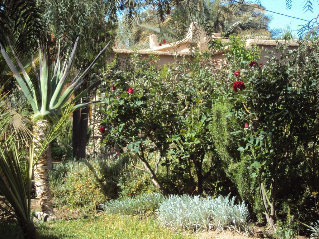 Dar Lorkam Bed & Breakfast Skoura Bagian luar foto