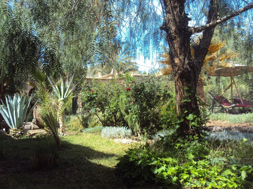 Dar Lorkam Bed & Breakfast Skoura Bagian luar foto