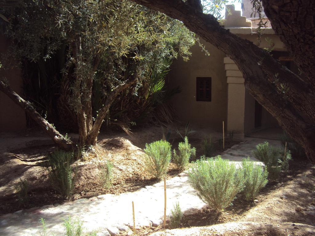 Dar Lorkam Bed & Breakfast Skoura Bagian luar foto