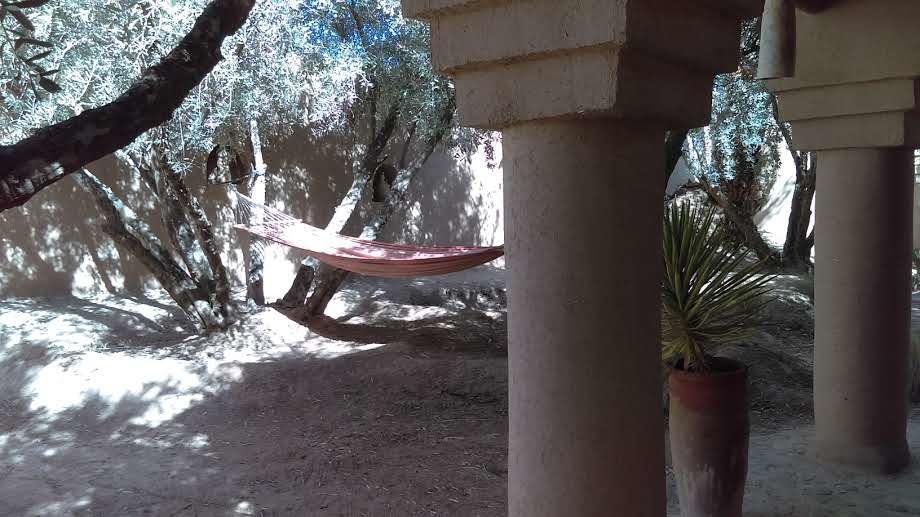 Dar Lorkam Bed & Breakfast Skoura Bagian luar foto