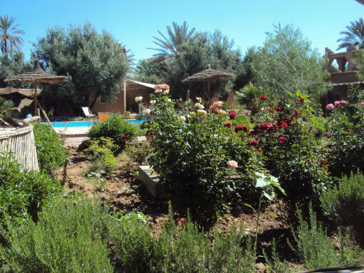 Dar Lorkam Bed & Breakfast Skoura Bagian luar foto