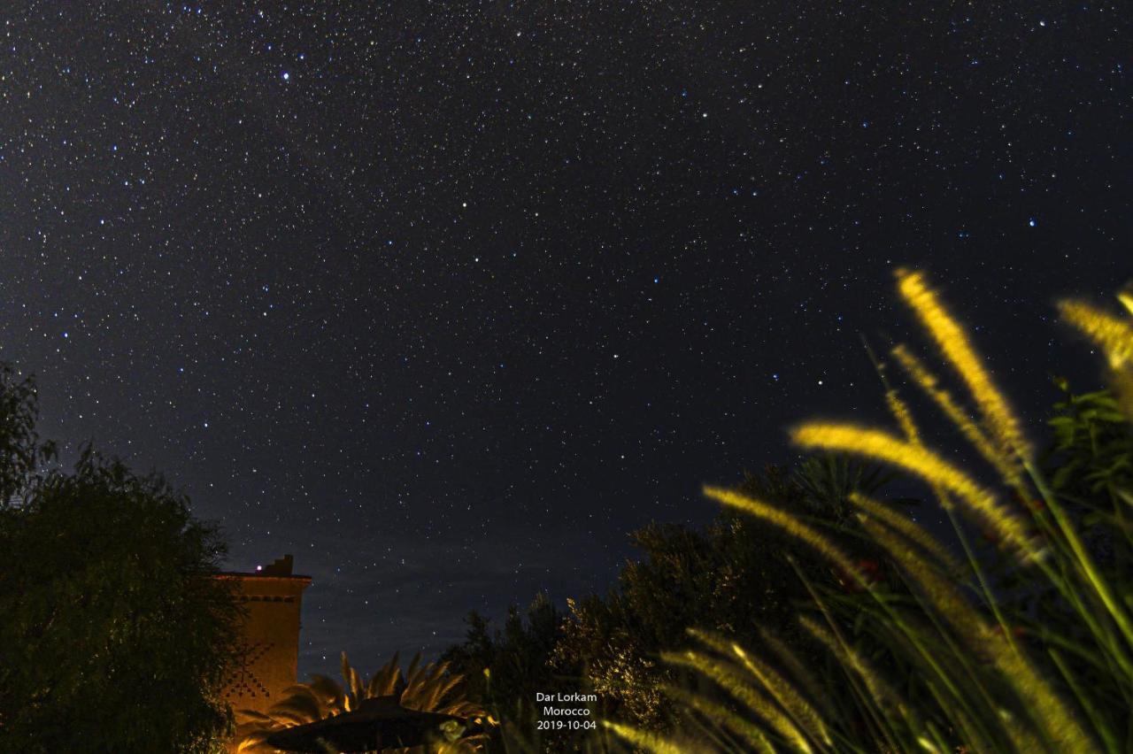 Dar Lorkam Bed & Breakfast Skoura Bagian luar foto